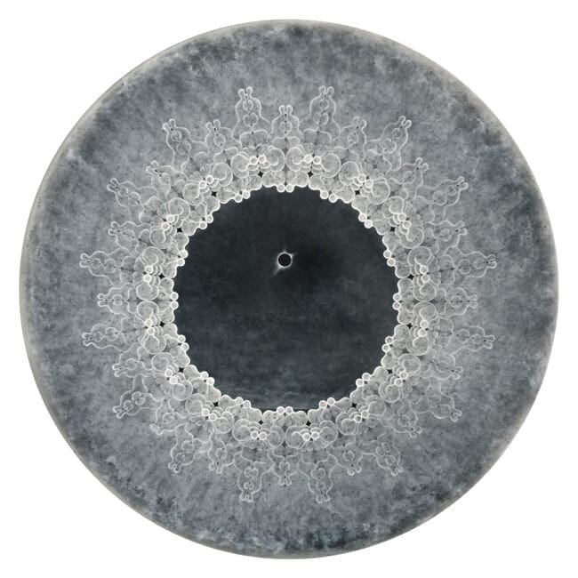 Carol Prusa artist