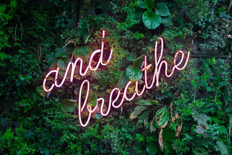 wellness quotes