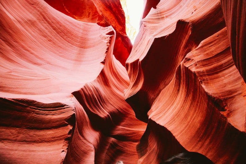 nature and art with kids